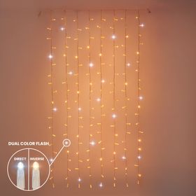 1 x h 2 m Warm White Connect ProLine 36V Curtain Lights, 160 maxiLEDs, transparent cable