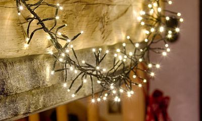 Guirlandes festoon