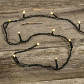 Guirlande 1 m, 10 led blanc chaud