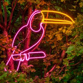 Tucan Figure Rope Lights Neon Effect, 90 cm, Orange and Pink Leds