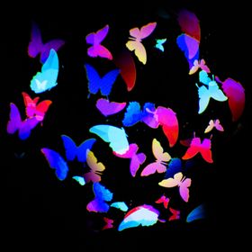 Gobo Mariposas en movimiento Ø 37mm