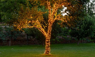 Guirlandes de lumière
