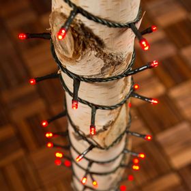 12.5m 300 Red Led String Lights