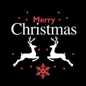 Gobo Merry Christmas avec Rennes et Cristaux de neige
