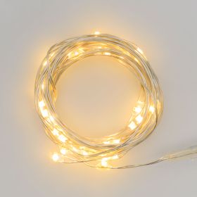 Guirnalda a pilas 1,9 m, micro led blanco cálido