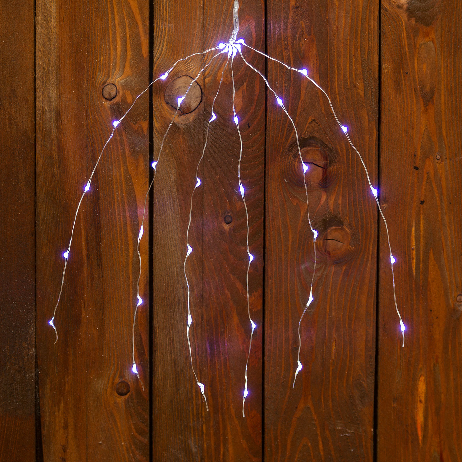 Lichterbündel 30 cm, 36 Micro LEDs kaltweiß 5 Lichterbündel 30 cm, 36 Micro LEDs kaltweiß 5