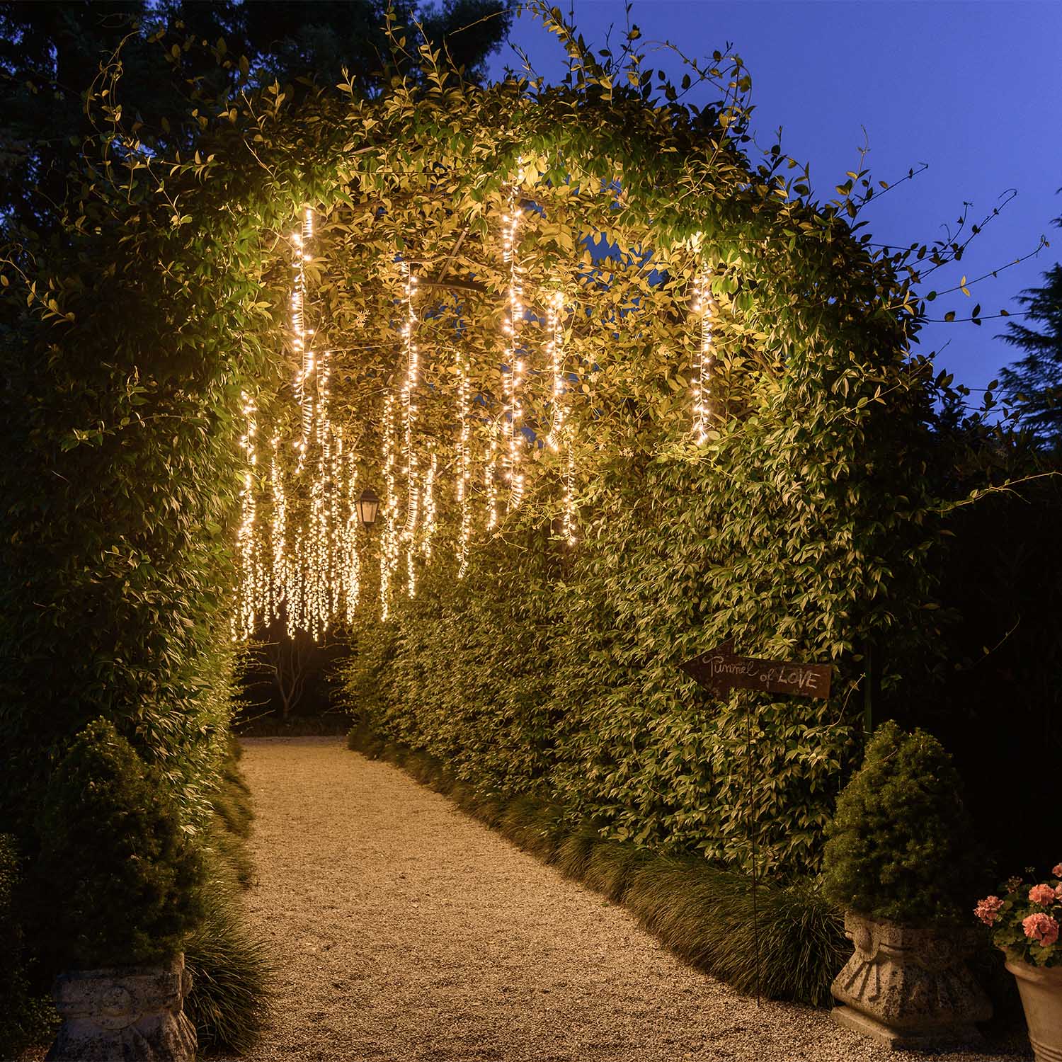 3-Bänder Clusterlichterkette Connect+, 300 LEDs Warmweiß, transparentes Kabel, verlängerbar 8 3-Bänder Clusterlichterkette Connect+, 300 LEDs Warmweiß, transparentes Kabel, verlängerbar 8