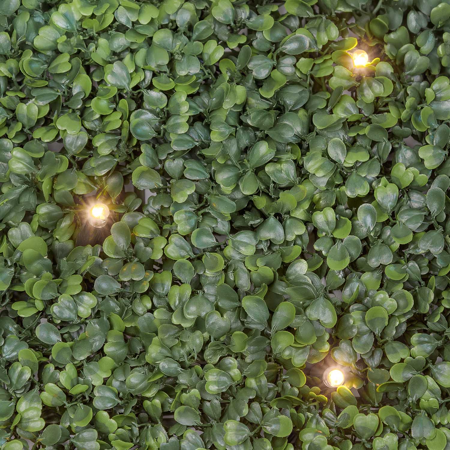 Pannello di Bosso artificiale verde scuro Green Wall Light, 16 maxiled Dual Color bianco caldo 15