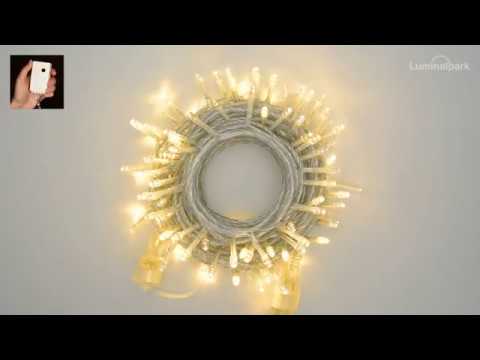 Catena Smart Connect, 10 metri, led bianco caldo 2 Catena Smart Connect, 10 metri, led bianco caldo 2