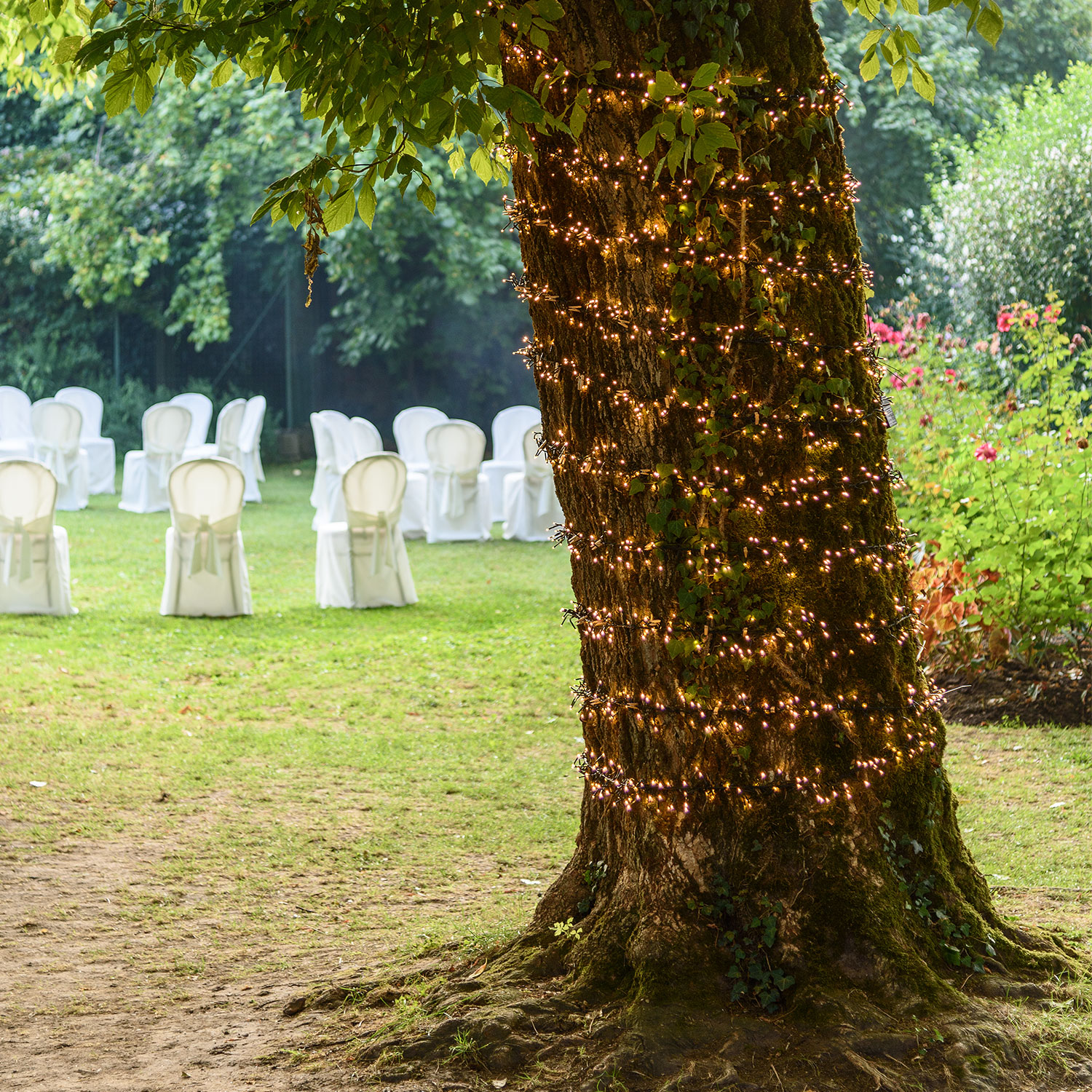 Festón de luces Led cálido 7,5m 12 Festón de luces Led cálido 7,5m 12