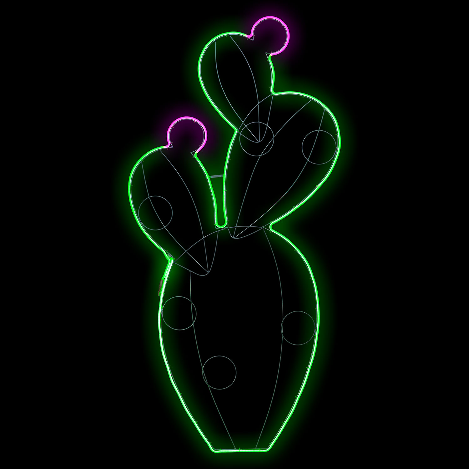 Fico d'India in tubo led effetto neon, 158 cm 4 Fico d'India in tubo led effetto neon, 158 cm 4
