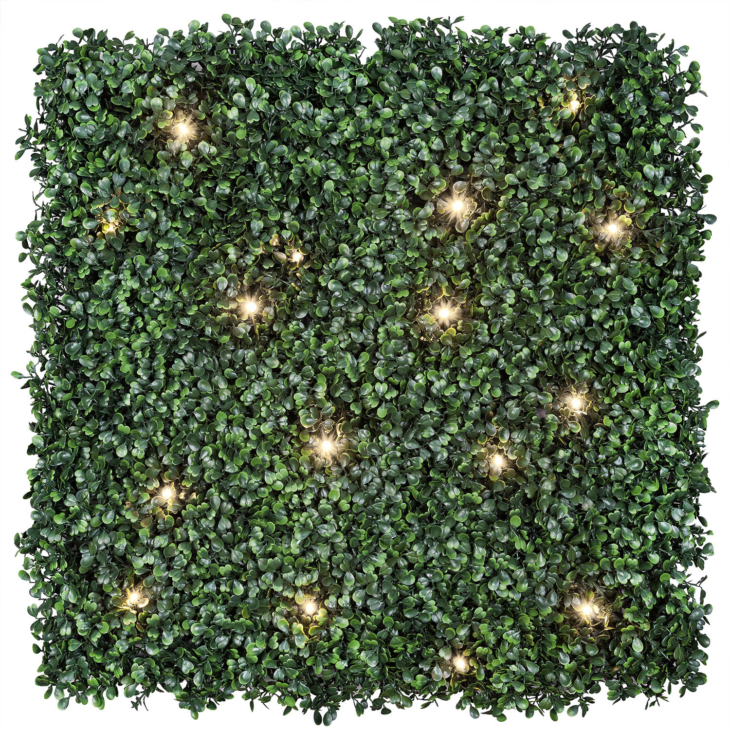Panel de Boj artificial verde oscuro Green Wall Light, 16 maxiled Dual Color blanco cálido 10