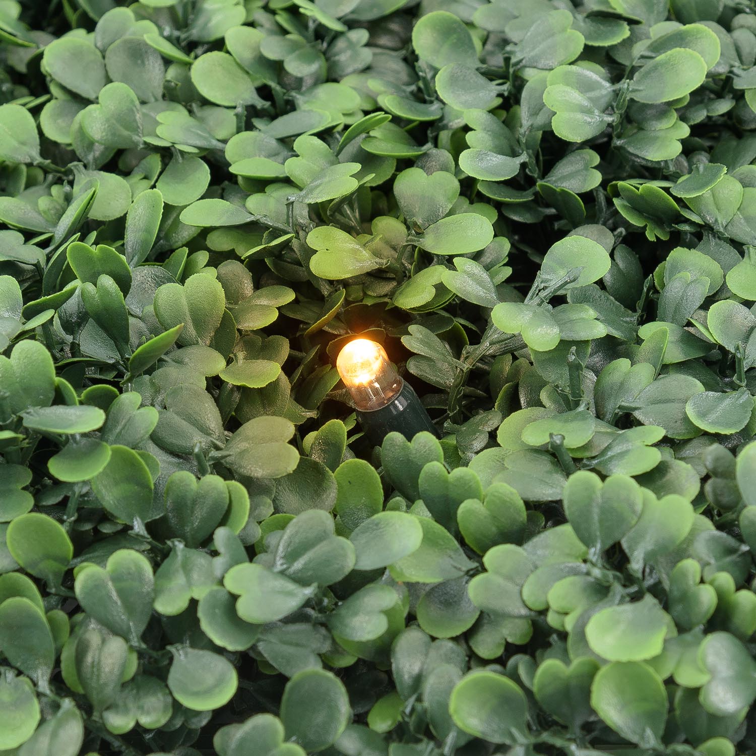 Pannello di Bosso artificiale verde scuro Green Wall Light, 16 maxiled Dual Color bianco caldo 5