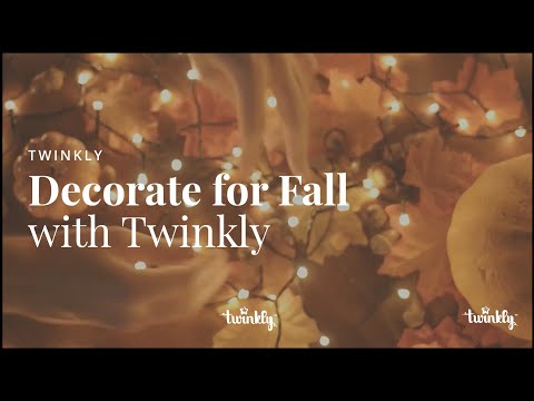 Fall Fall