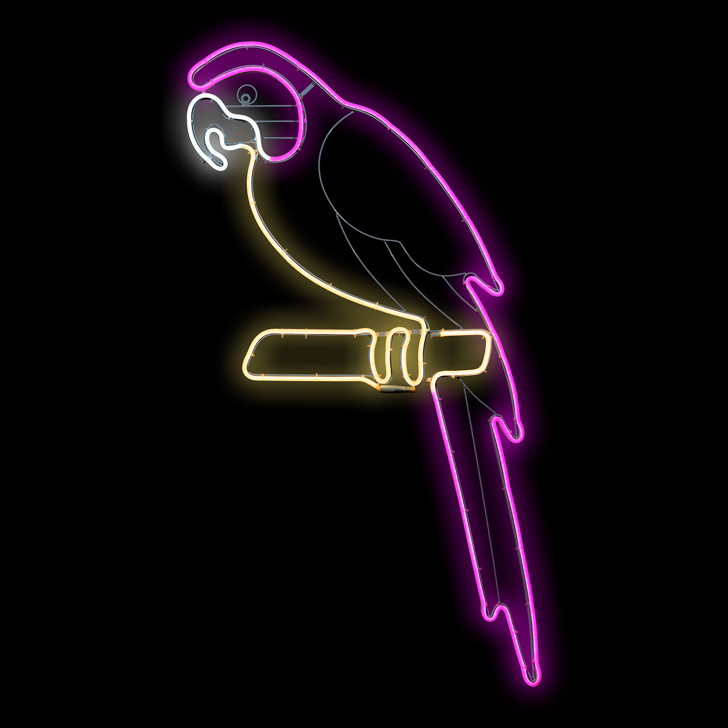 Pappagallo rosa in tubo effetto neon, led rosa e bianco caldo 4 Pappagallo rosa in tubo effetto neon, led rosa e bianco caldo 4