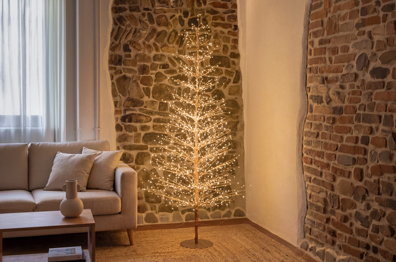 Albero Conico Tiglio