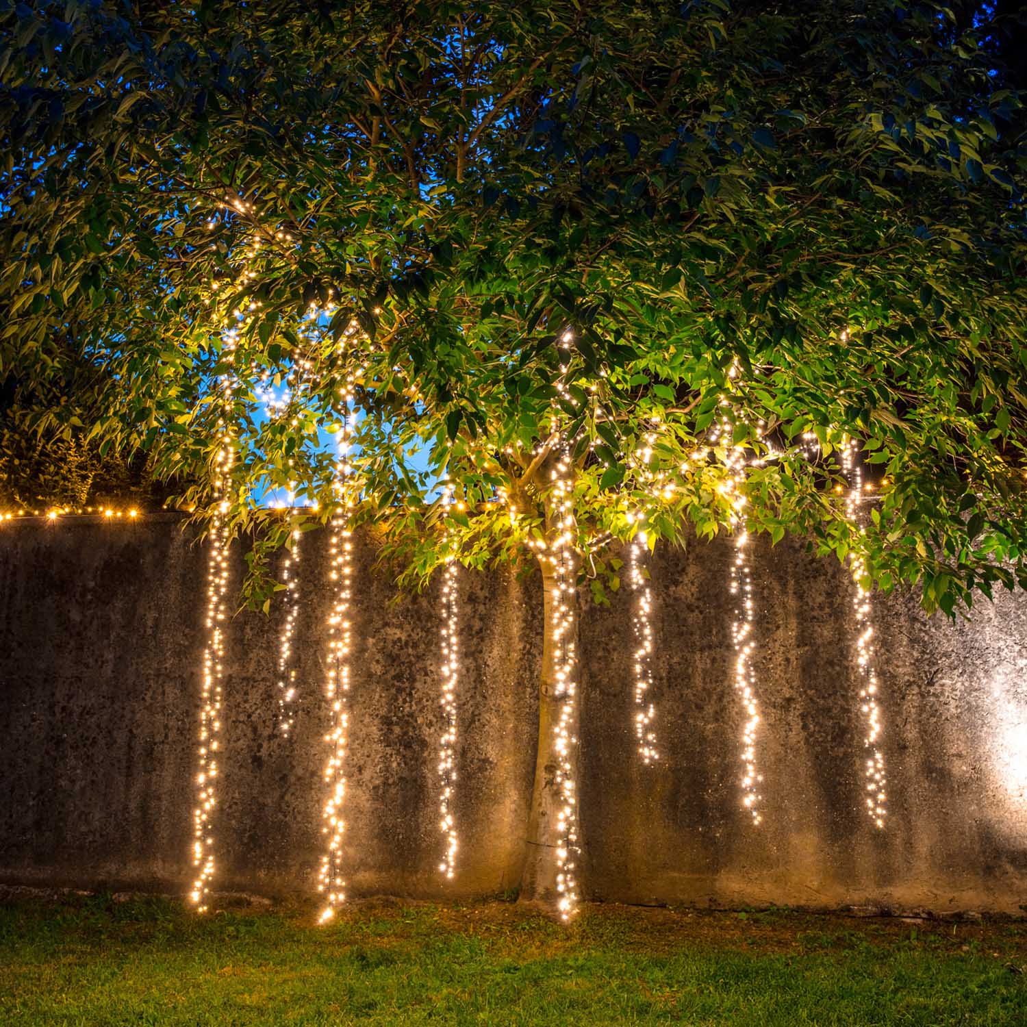 Cascada de luces Connect+ 3 festones, 600 led blanco cálido, cable verde, prolongable Cascada de luces Connect+ 3 festones, 600 led blanco cálido, cable verde, prolongable