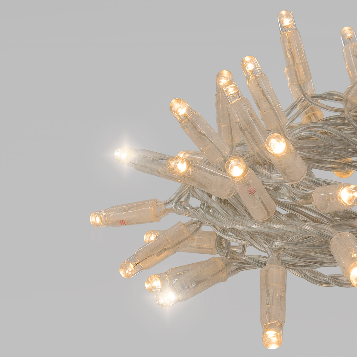 Guirlande Connect ProLine 36V, 5 m, 50 maxiled blanc chaud soft, câble transparent 8