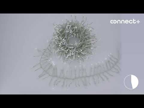 Guirnalda Festón Connect+ 3 m, 300 led blanco frío, cable transparente, prolongable 2