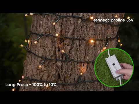 Dimmer und Timer Connect ProLine 36V, Max 200 Watt, Außenbereich geeignet 2