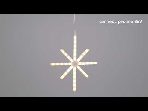 Animated Polar Star 36 cm, Connect ProLine 36V, 76 warm white SMD LEDs, transparent cable 2