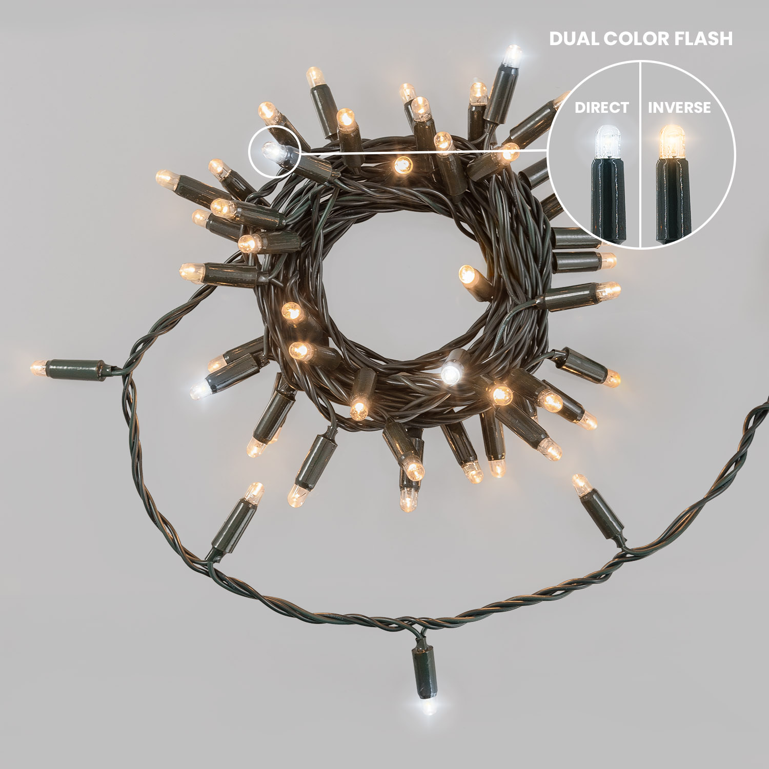 Guirlande Connect ProLine 36V, 5 m, 50 maxiled blanc chaud soft, câble vert