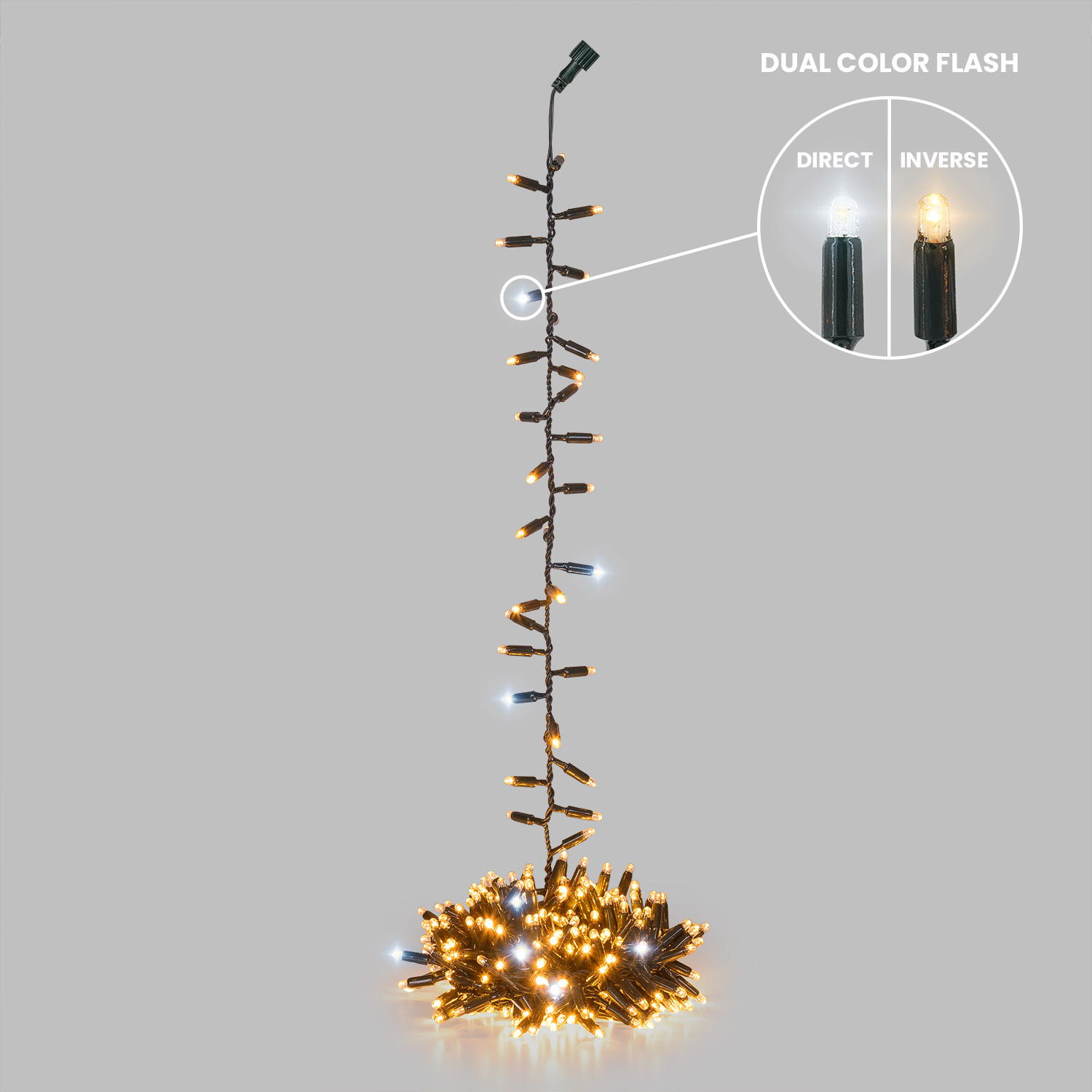 6 m Connect ProLine 36V Cluster Pendant, 300 warm white maxiled, green cable