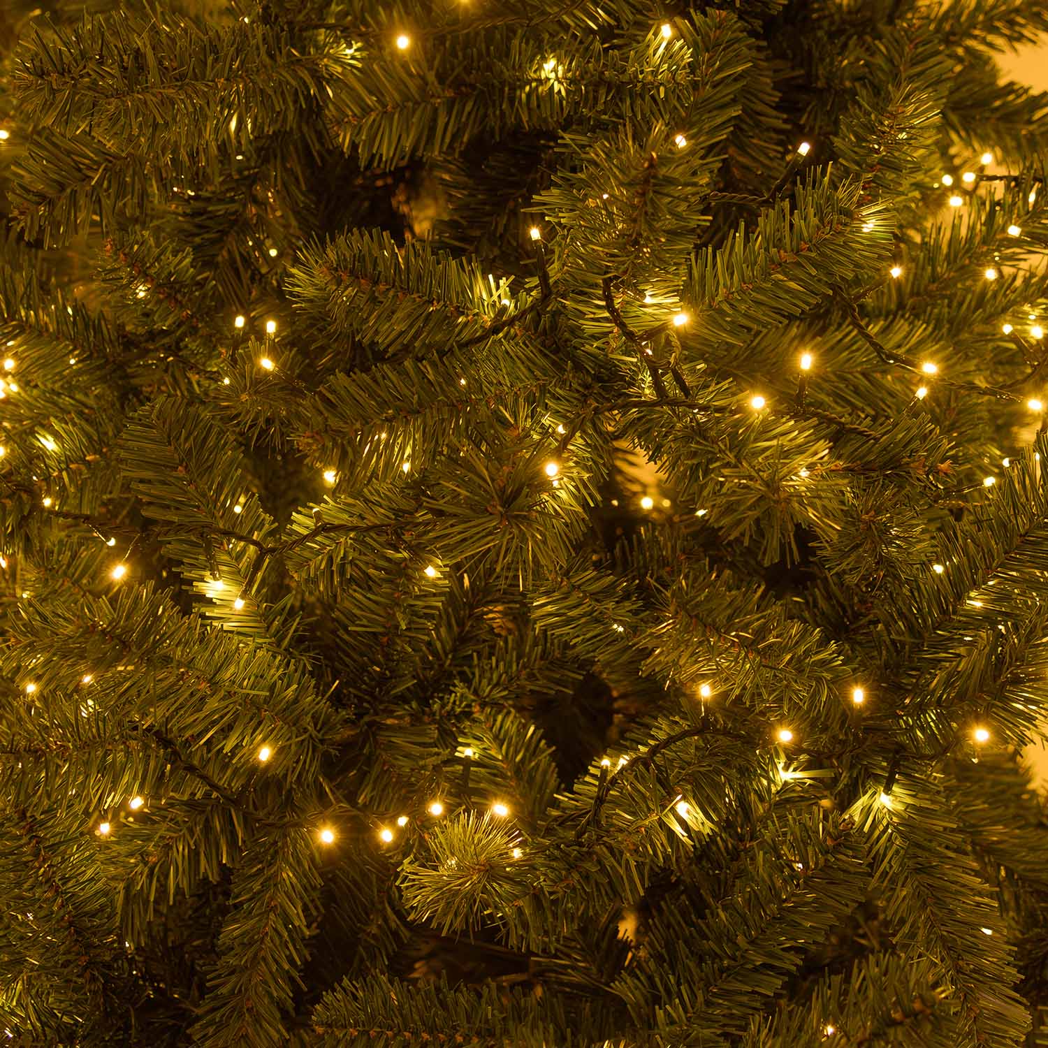 Lichterkette 30 m, 500 Dual-LEDs in Warmweiß und Extra Warmweiß, grünes Kabel 3 Lichterkette 30 m, 500 Dual-LEDs in Warmweiß und Extra Warmweiß, grünes Kabel 3