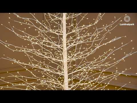 Arbre Branche lumineux Tilleul blanc 2,3 m, 1560 microled blanc chaud, intérieur 2 Arbre Branche lumineux Tilleul blanc 2,3 m, 1560 microled blanc chaud, intérieur 2