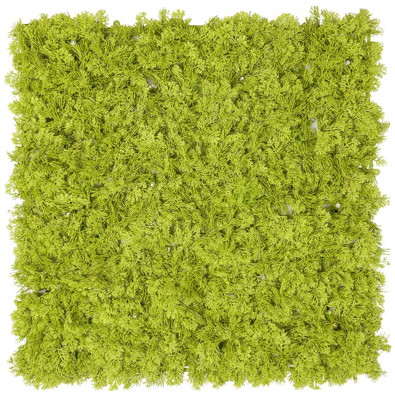 Pannello di Lichene artificiale verde acido Green Wall Light, senza luci