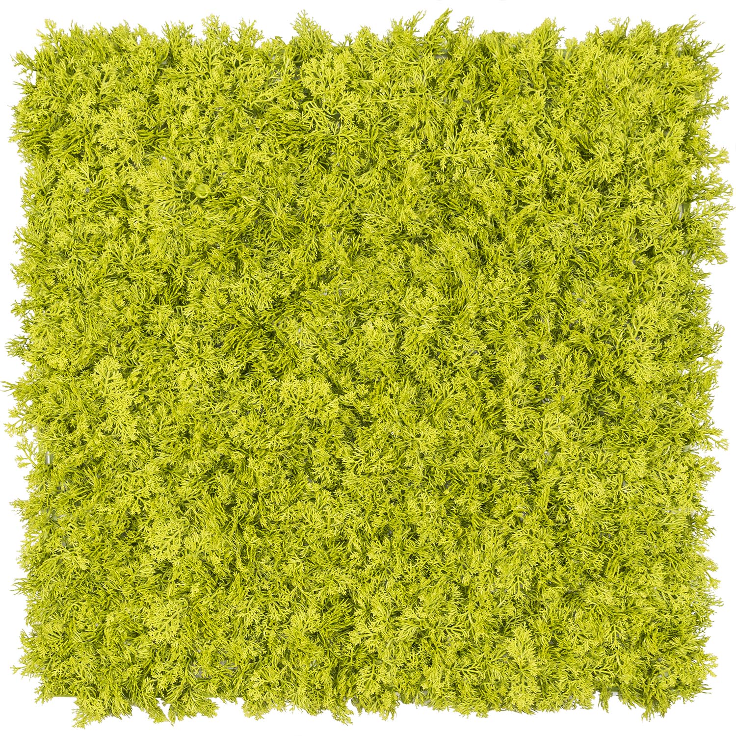 Panneau de Lichen artificiel vert acide Green Wall Light, sans lumières