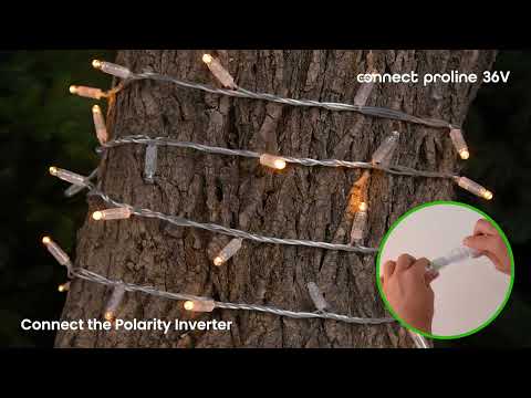 12 m Warm White Connect ProLine 36V String Lights, 120 maxiLEDs, Green rubber cable, connectable 2