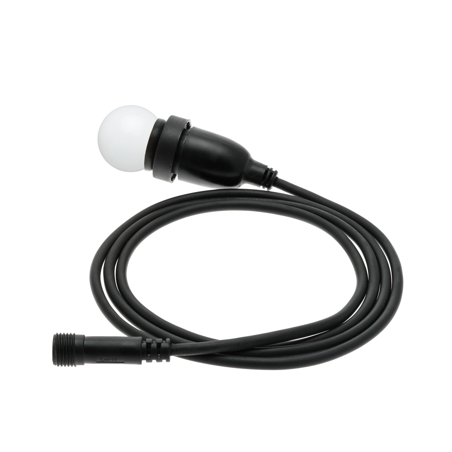 Lampadina da 1,2 Watt globo Ø 45 mm in plastica bianca a sospensione, 2 metri di cavo nero Lampadina da 1,2 Watt globo Ø 45 mm in plastica bianca a sospensione, 2 metri di cavo nero