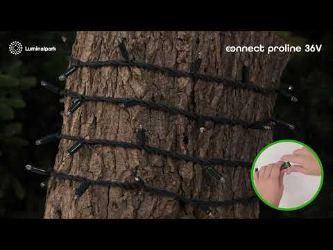 Catena Connect ProLine 36V, 5 m, 50 maxiled bianco caldo, cavo verde, prolungabile 2