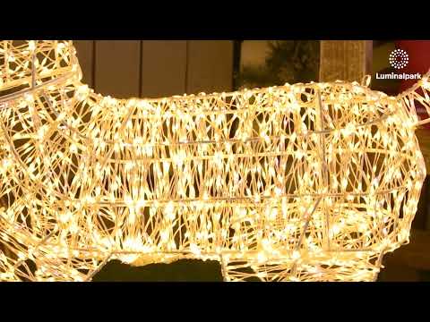 Reno con pata levantada 3D, h 105 cm, microled blanco cálido y frío, uso interior 2