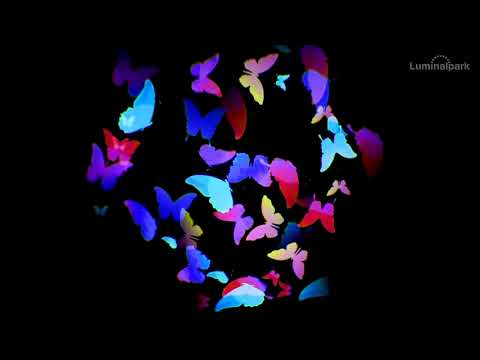 Gobo Mariposas en movimiento Ø 37mm 2 Gobo Mariposas en movimiento Ø 37mm 2