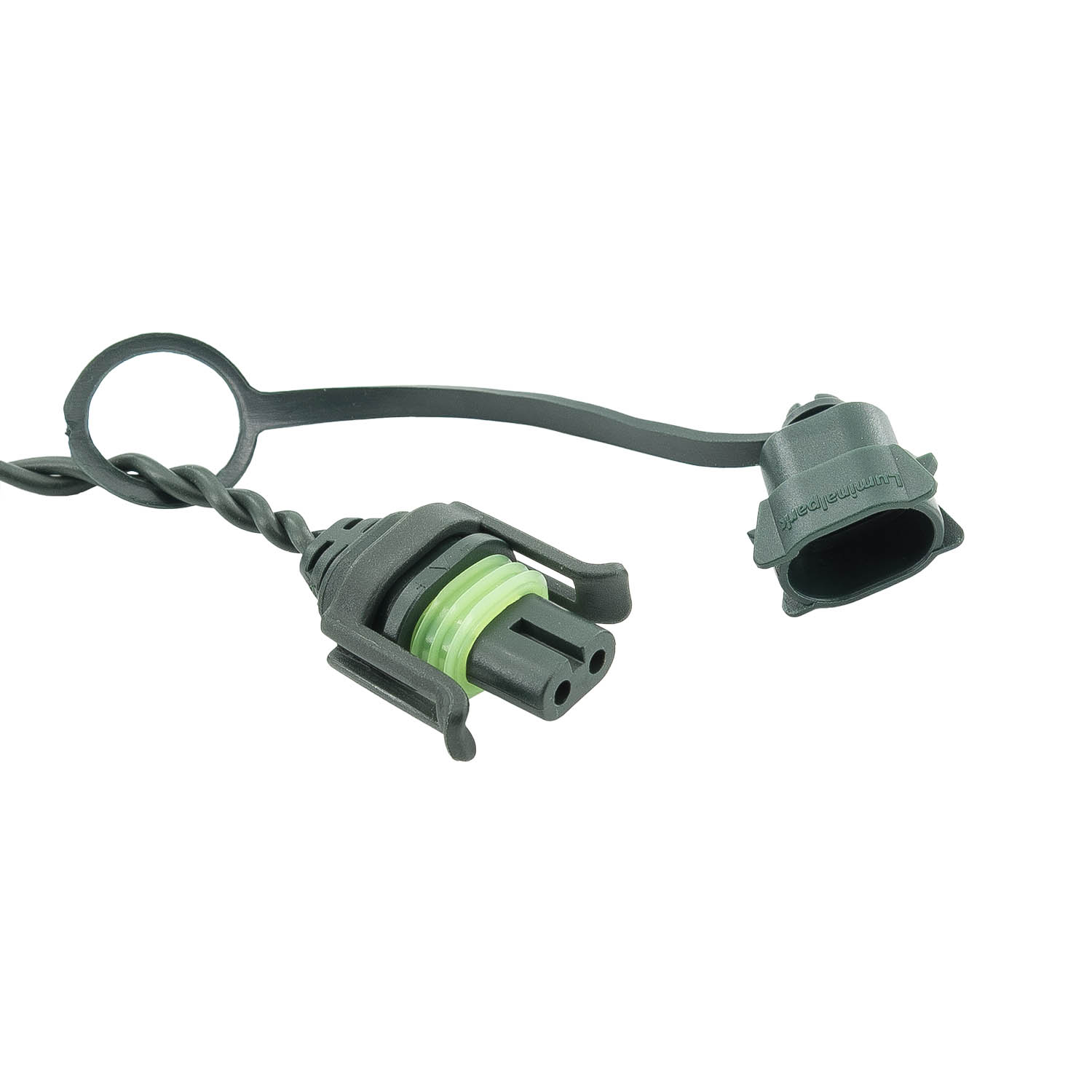 Green Wall Light String Light, 3.15 m, 16 Warm White Dual Color MaxiLEDs, Dark Green Cable, Extendable 2