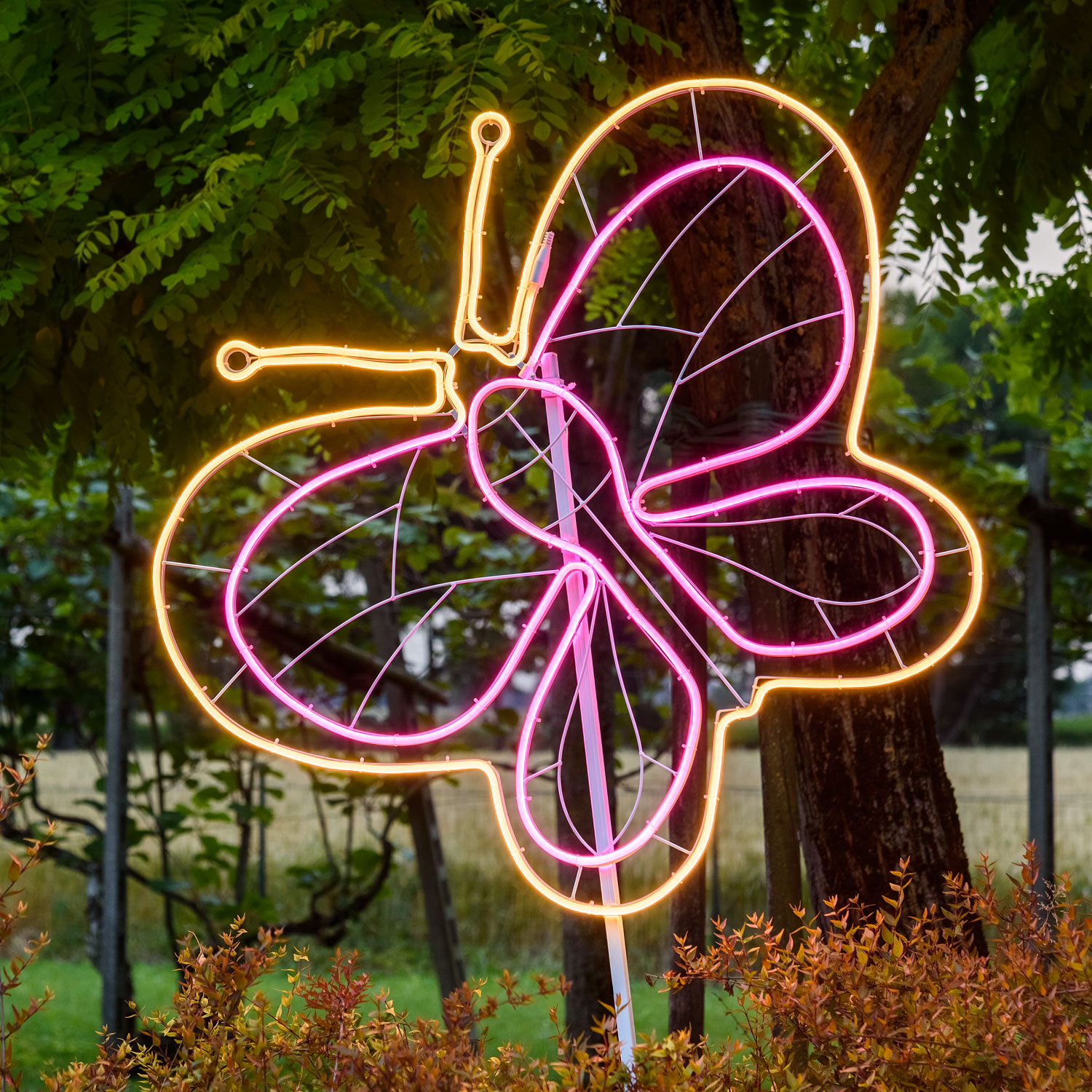 Butterfly Neon Lights SMD, h. 82 cm, Warm White and Pink Leds 1 Butterfly Neon Lights SMD, h. 82 cm, Warm White and Pink Leds 1