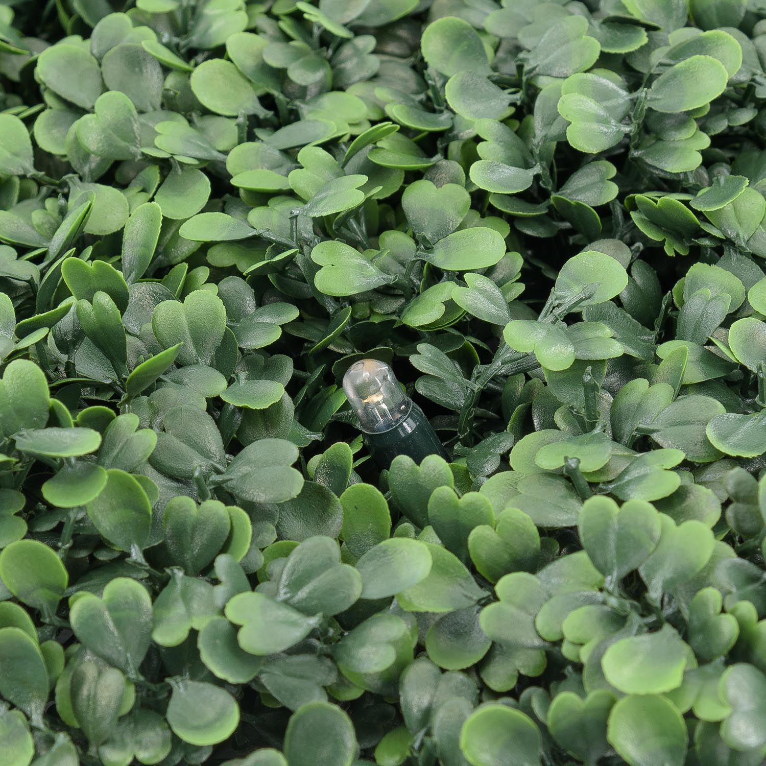 Pannello di Bosso artificiale verde scuro Green Wall Light, 16 maxiled Dual Color bianco caldo 3