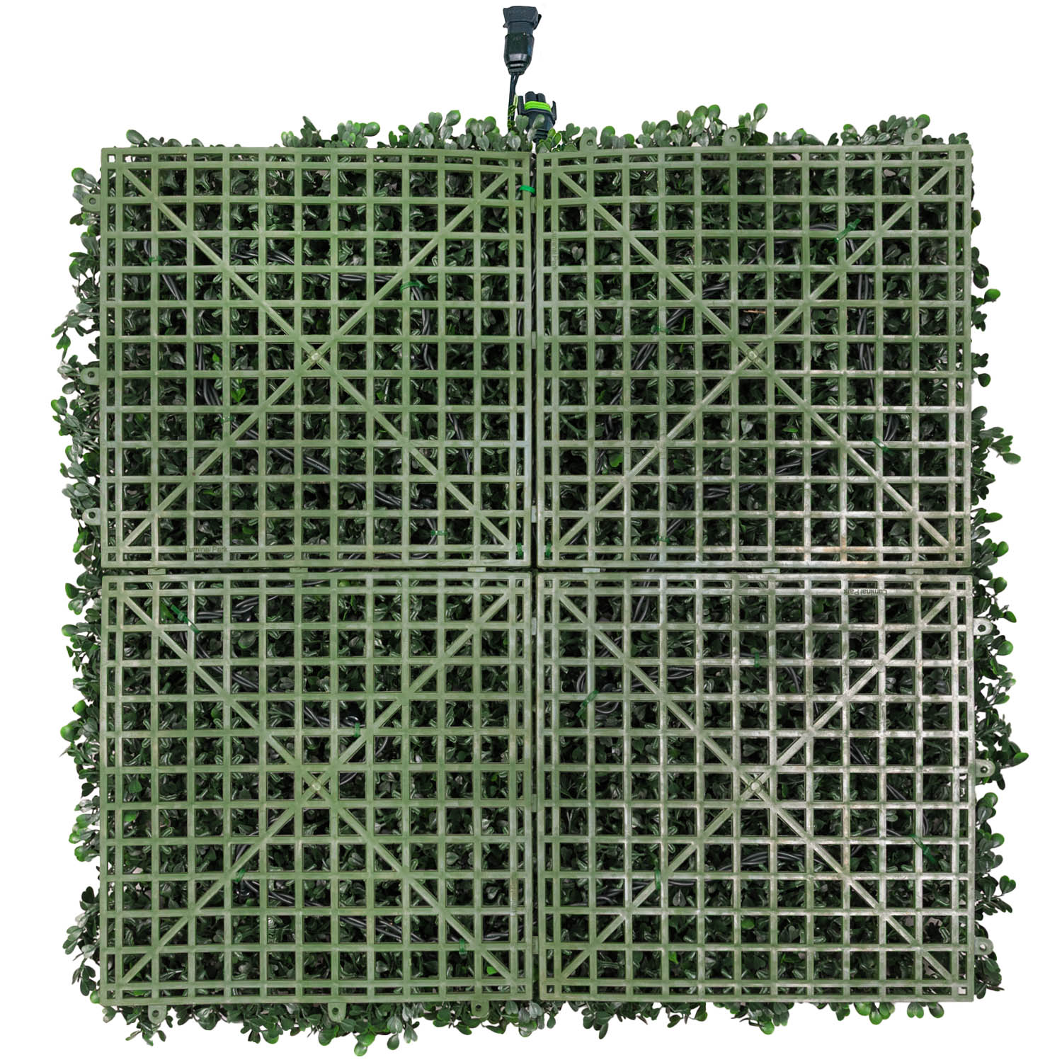 Panel de Boj artificial verde oscuro Green Wall Light, 16 maxiled Dual Color blanco cálido 2