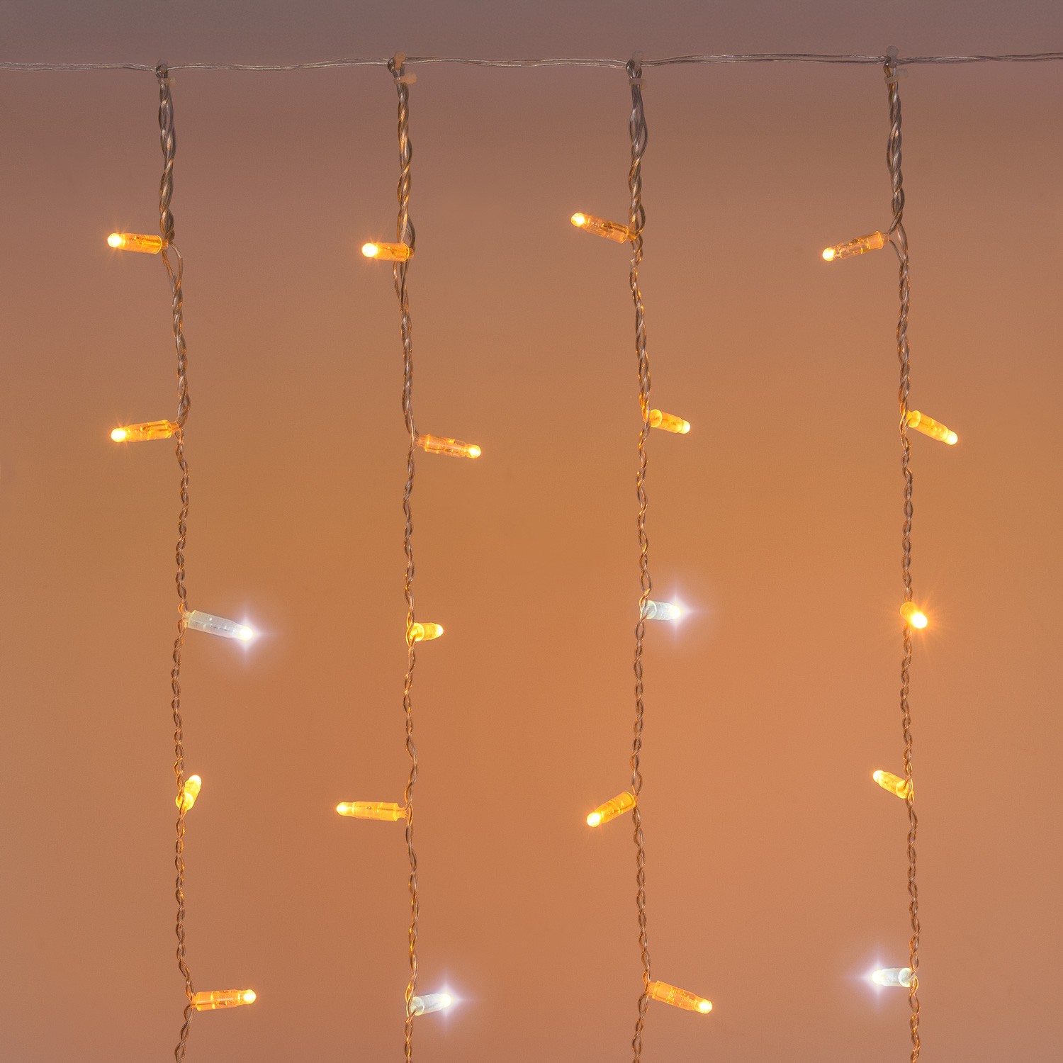 Vorhanglichter Connect ProLine 36V, 1 x H 2 m, 160 Maxiled warmweiß, transparentes Kabel 5 Vorhanglichter Connect ProLine 36V, 1 x H 2 m, 160 Maxiled warmweiß, transparentes Kabel 5