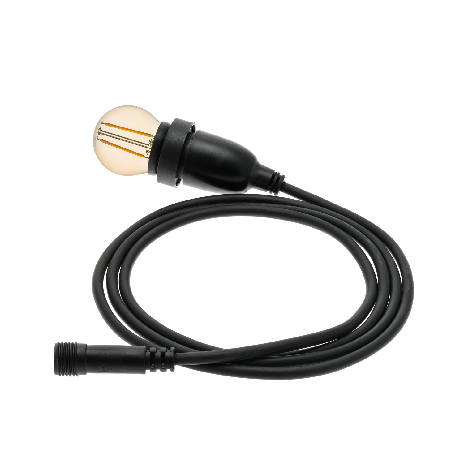 Lampadina da 2 Watt a globo Ø 45 mm a sospensione, 4 metri di cavo nero Lampadina da 2 Watt a globo Ø 45 mm a sospensione, 4 metri di cavo nero