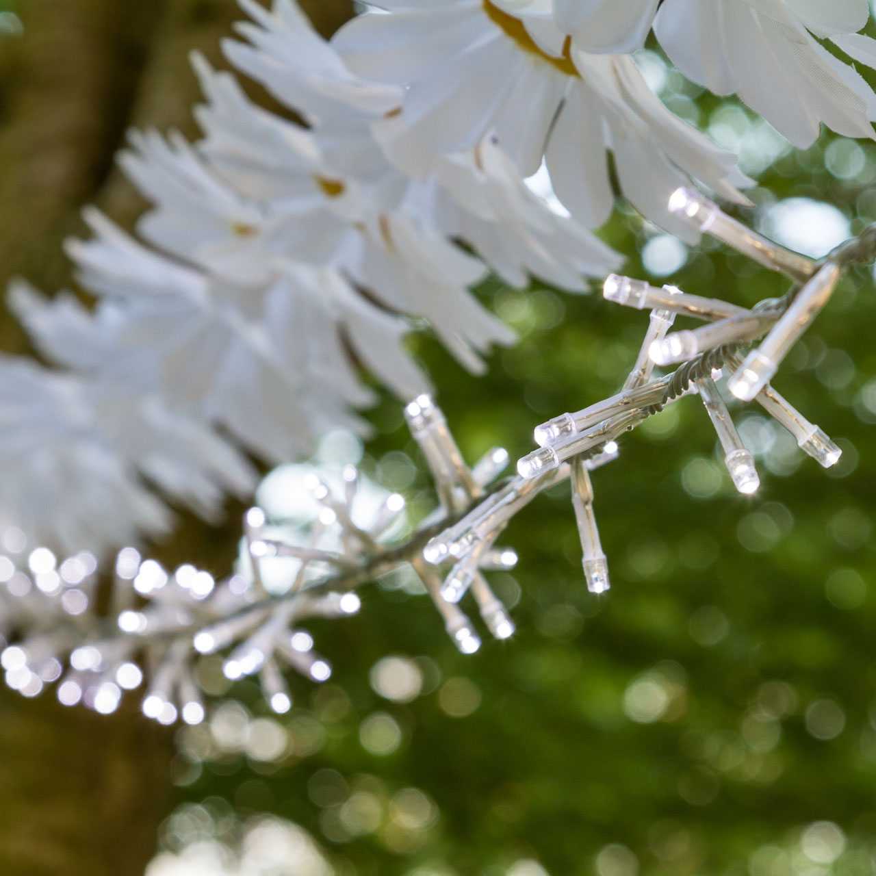 30.5m 1500 White Led Mini Cluster String Lights 30.5m 1500 White Led Mini Cluster String Lights