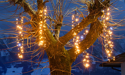 Lichterbündel