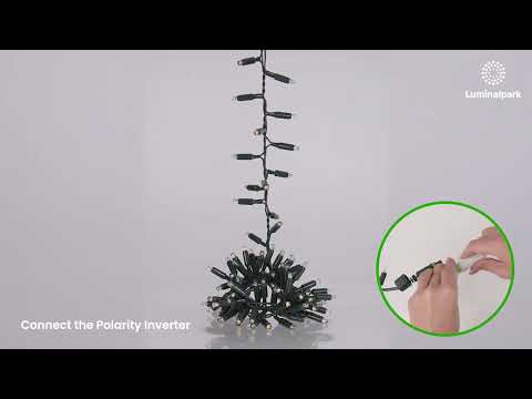 Ruban Suspendu Connect ProLine 36V, 3 m, 150 maxiled blanc chaud, câble vert 2