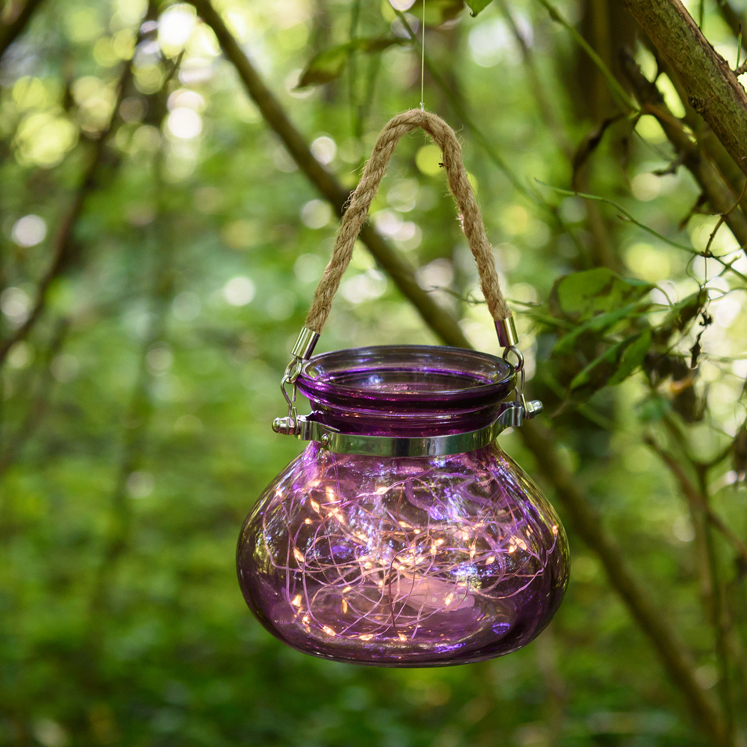 Vase en verre violet avec lumière, 40 MicroLED blanc chaud 2 Vase en verre violet avec lumière, 40 MicroLED blanc chaud 2
