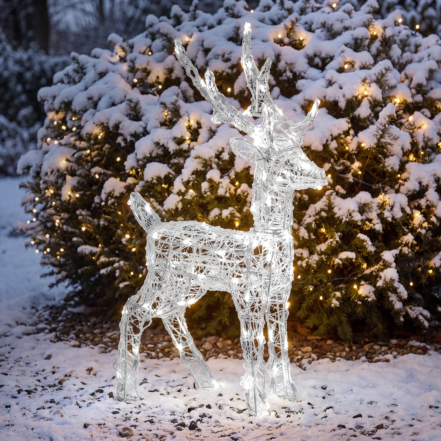 3D Rentier aus transparentem Acryl, H 65 cm, 80 Dual-LED warmweiß und kaltweiß 3