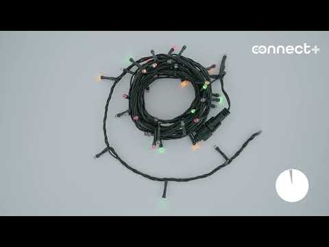 Guirlande Connect+ 5 m, 50 led multicolor American Christmas, câble vert, prolongeable 2