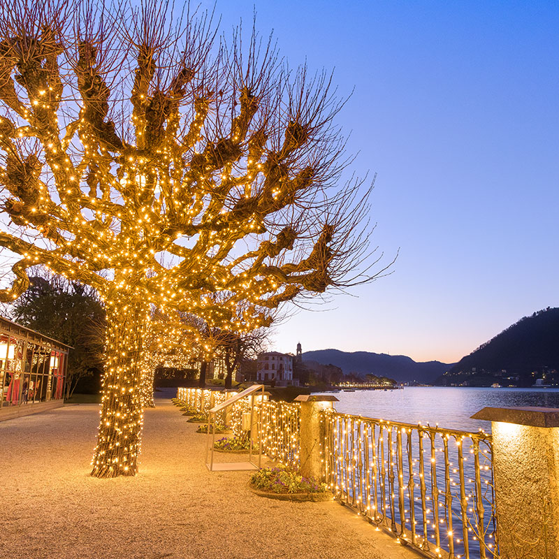 50M 500 Luci a LED per interni ed esterni Luci di Natale 8 modalità Luci fatate impermeabili Cavo trasparente per casa Festa Natale Decorazione di nozze, bianco caldo 50M 500 Luci a LED per interni ed esterni Luci di Natale 8 modalità Luci fatate impermeabili Cavo trasparente per casa Festa Natale Decorazione di nozze, bianco caldo