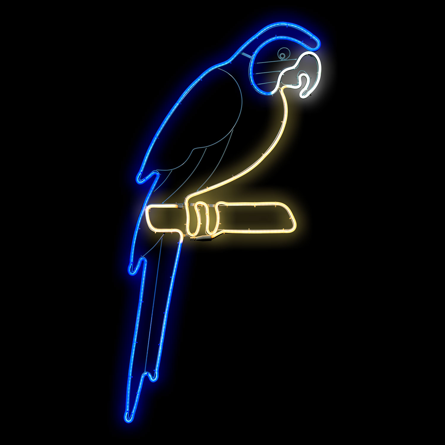 Perroquet décoratif en tube lumineux effet néon, 1,20 m, led bleu, blanc chaud et froid 4 Perroquet décoratif en tube lumineux effet néon, 1,20 m, led bleu, blanc chaud et froid 4